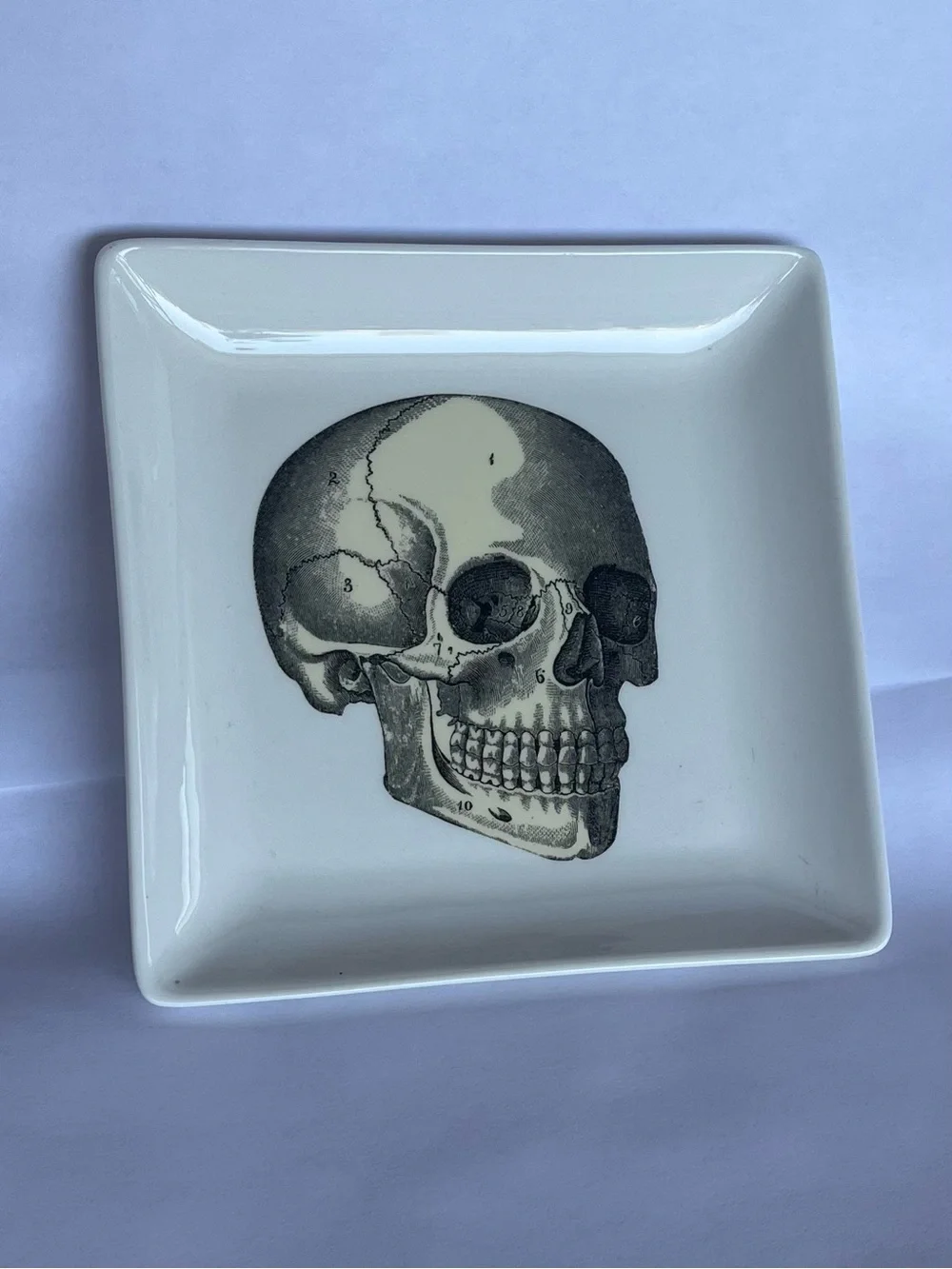 Skull Ring Dish Trinket Dish Ceramic Cream Yellow Black by Magpie